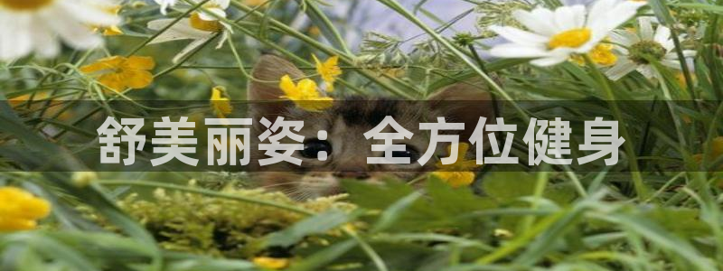 龙8国际long8官方版下载
