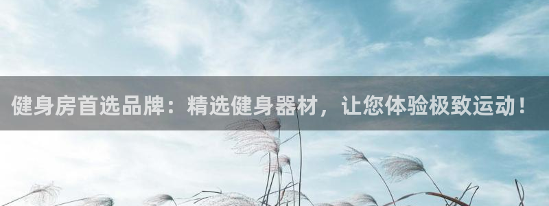 龙八国际首页