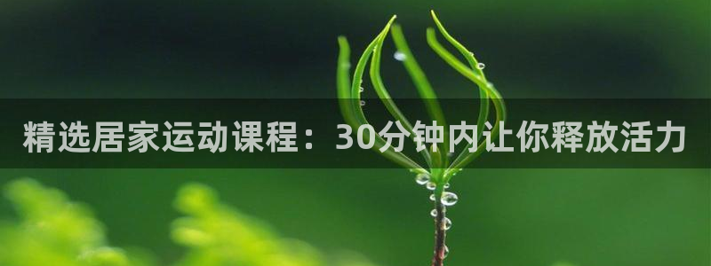 龙8国际long8龙8游戏