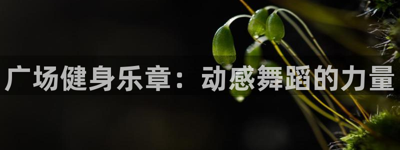 龙8游戏官方进入