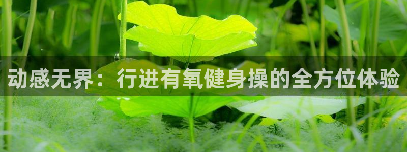 龙8游戏平台官方网站是多少