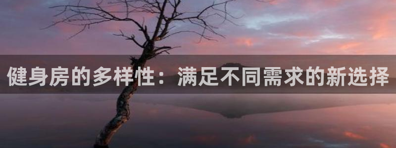 龙8老虎机游戏网站多少