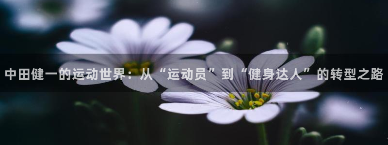 龙8游戏官方网站z