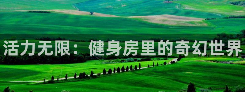 龙8国际官方网页
