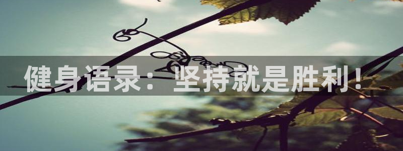 龙8国际线上