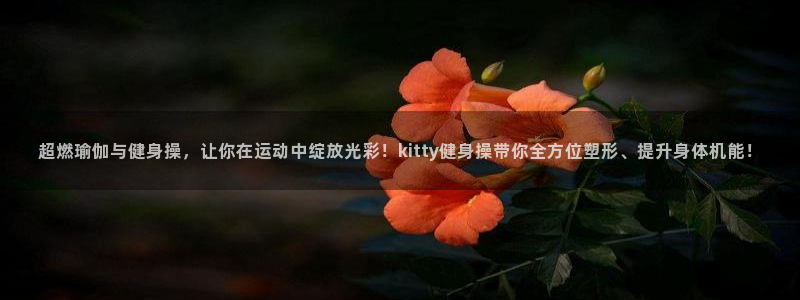 龙8国际正规吗