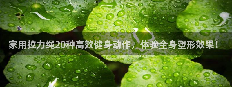 龙8国际app下载