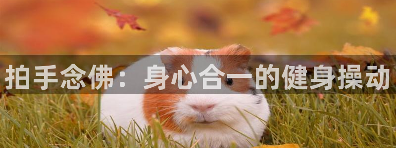 龙8国际唯一官网