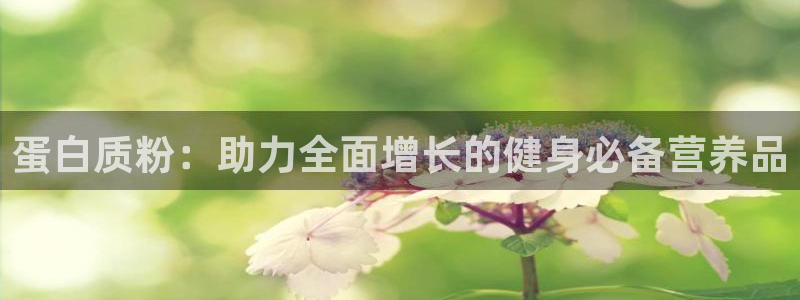 龙8国际手机游戏官网下载