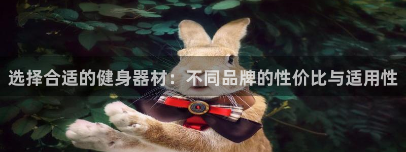 龙8国际网址
