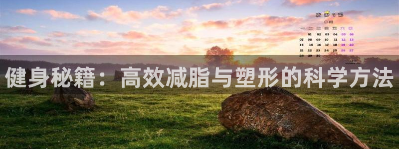 下载龙8国际