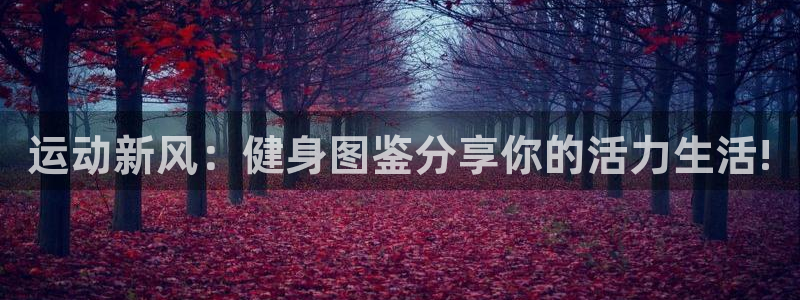 龙8电子游戏_首页