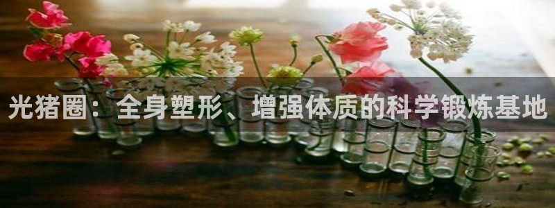 国际龙8下载