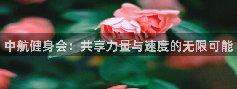 龙8国际游戏官网