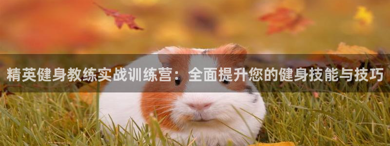 龙8官网在线试玩
