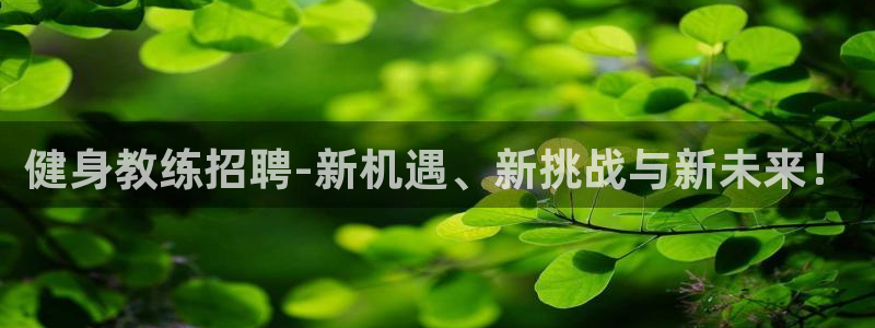 龙8国际app 下载
