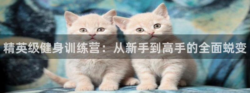 龙8国际pt官方网址