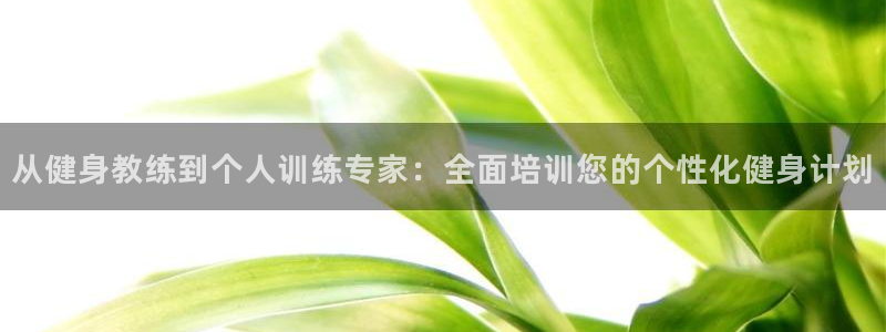 龙8国际2020官方网站