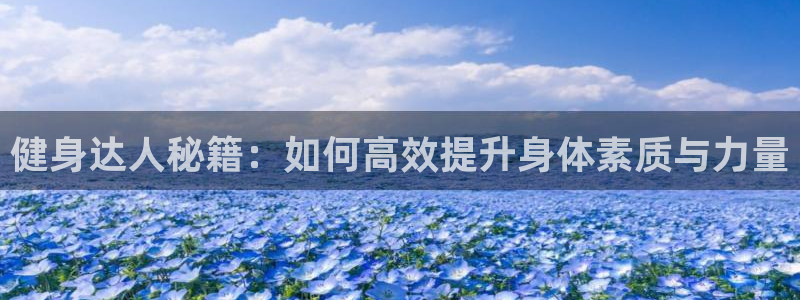 龙8国际官方网站