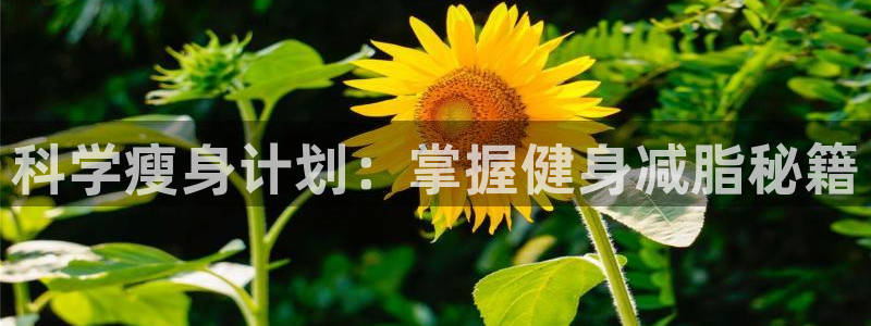 龙8国际app客户端下载