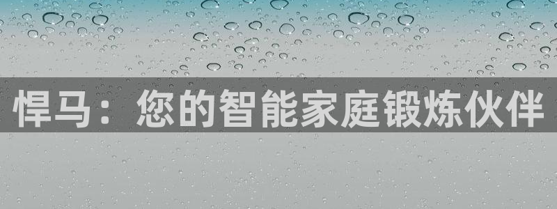龙八国际pt
