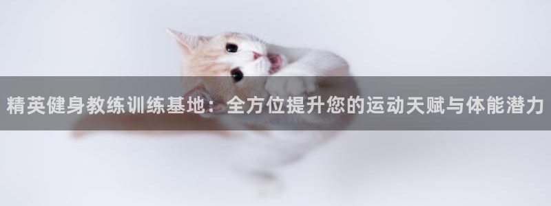 龙八国际app客户下载